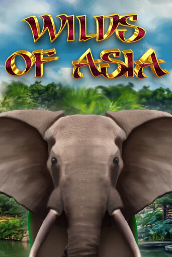 Бесплатная демо игра Wilds of Asia | Джой Казино без регистрации